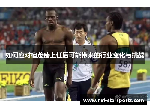 如何应对宿茂臻上任后可能带来的行业变化与挑战